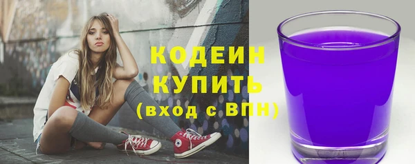 спиды Пересвет