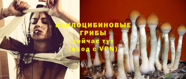 крисы Покров